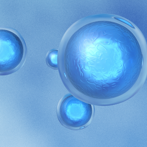 close-up of cells for stem cells